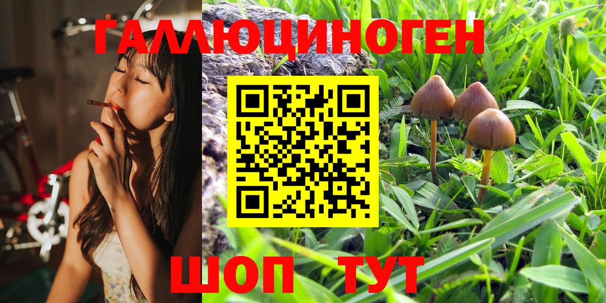 Галлюциногенные грибы Magic Shrooms  Вход с VPN  Псилоцибиновые грибы Magic Shrooms  Энгельс 